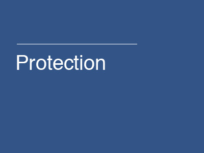 Protection / Life Assurance